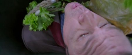 По следу (2016)