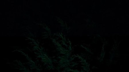 Я хулиган (2016)