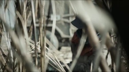 Земля и тень (2015) Земля и тень (2015)