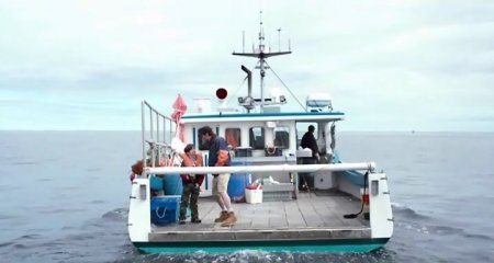 Манчестер у моря (2016)