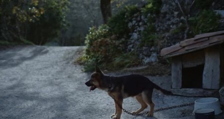 Бабушка (2015)