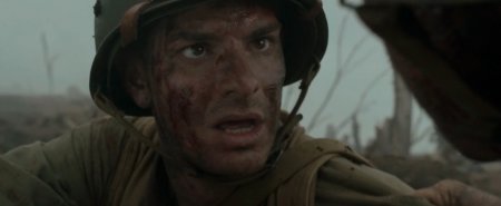 По соображениям совести (2016)