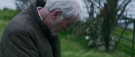 Истинный комиссионер (2016)