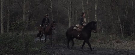 Кровавая луна (2014)