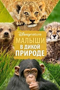 Фильм Малыши в дикой природе  (2016)