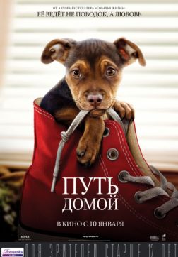 Фильм Путь домой (2019)