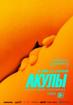 Фильм Акулы (2019)