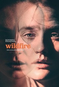Фильм Из огня да в полымя(2020)