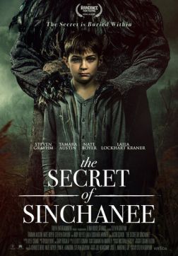 Фильм Тайна Синчани (2021)