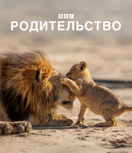 Фильм Родительство (1 сезон)