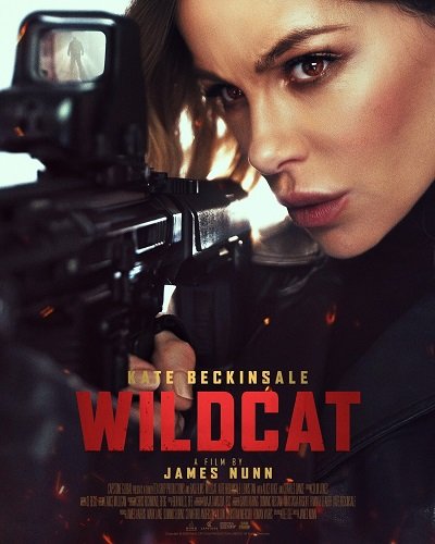 Идеальная афера (2025)