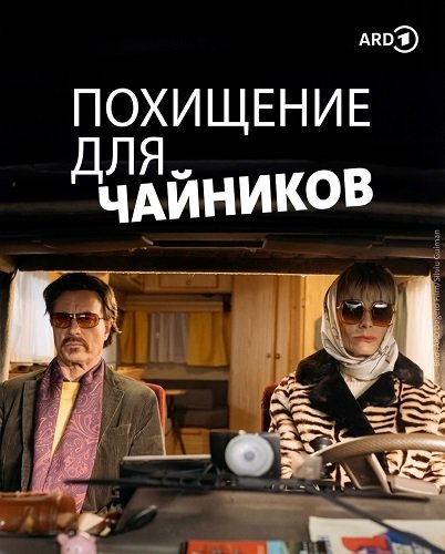 Похищение для чайников (2024)