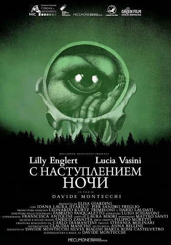 С наступлением ночи (2025)