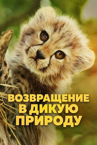 Возвращение в дикую природу (1 сезон)