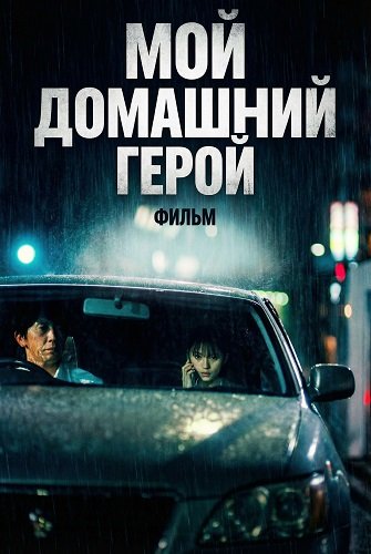 Мой домашний герой. Фильм (2024)