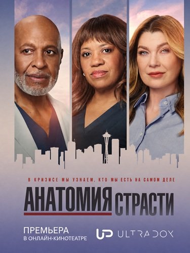 Фильм Анатомия страсти (23 сезон)